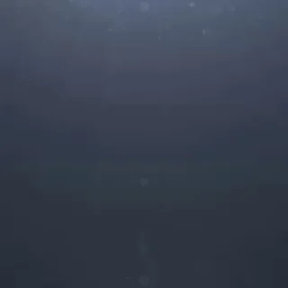 柬埔寨租房 金边租房 头像