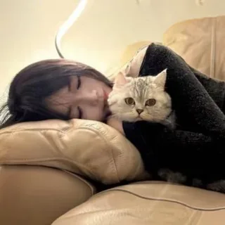 秋雅个人频道 头像