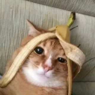 小e的朋友圈 头像