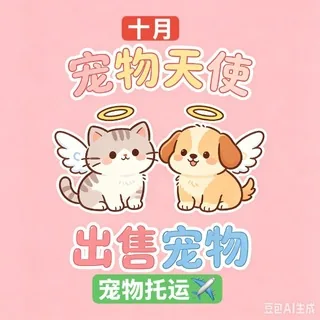 宠物-天使（菲 头像