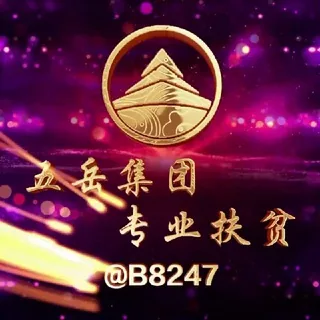 五岳集团查单/通知频道 头像