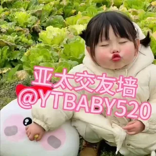 交友墙/处对象/表白 头像