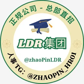 🇲🇲🇲🇾LDR集团 - 远程/技术岗位 头像