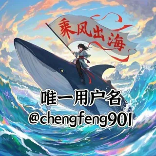 乘风🌊出海Ws拉群工作室 头像