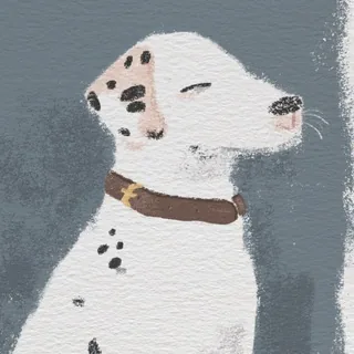 萌宠 头像