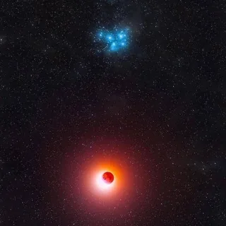 华人星际种子频道 头像