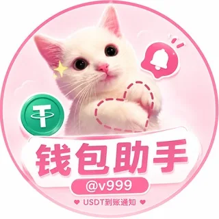 钱包助手 v999 vpay 头像