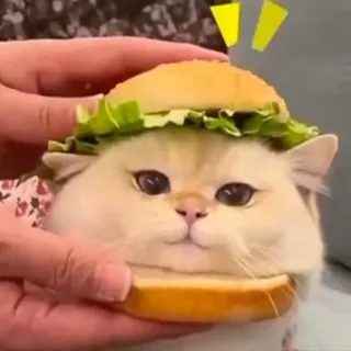 🍔面包爐💈星期六日營業💈 头像