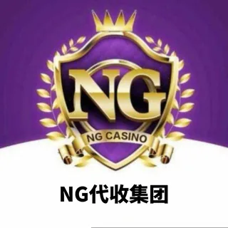 NG代收集团结账反馈 头像