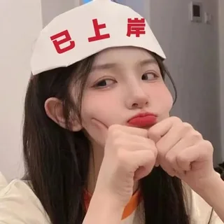 已上岸—反馈收纳处 头像