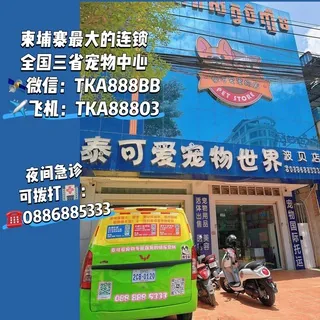波贝泰可爱宠物世界 头像