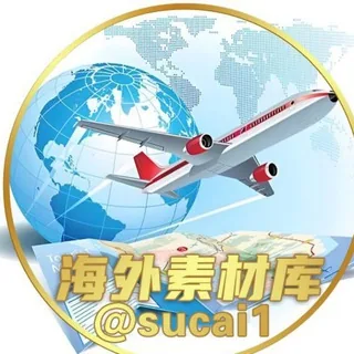 海外话术【志宏集团】高级精聊群 头像
