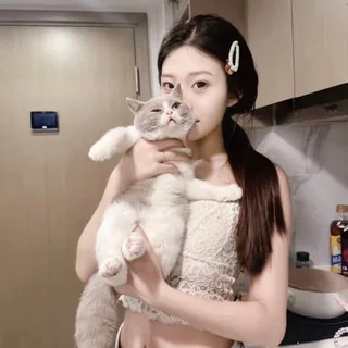猫猫🐱日常 头像
