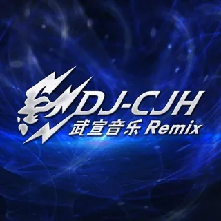 武宣DJ-CJH音乐频道🎵 头像