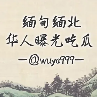 华人曝光大事件*缅甸- 头像