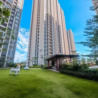 LPN Room for rent 公寓房间出租 头像