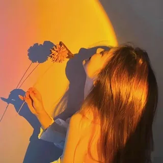 大亚湾红玫瑰个人开课中 头像