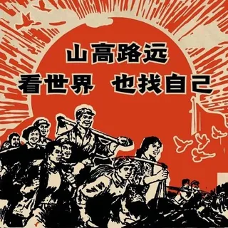 大马猴的小频道 头像
