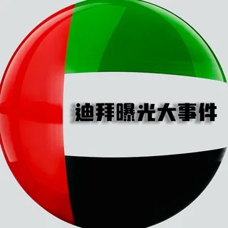 迪拜大事件 | 新闻曝光 头像