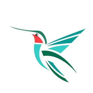 飞鸟云 10元包月200G流量 30%AFF 头像