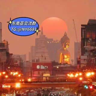 东南亚华人交流群 头像
