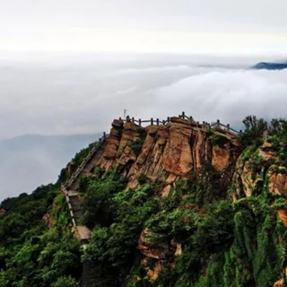 连云港花果山 ⛰ 头像