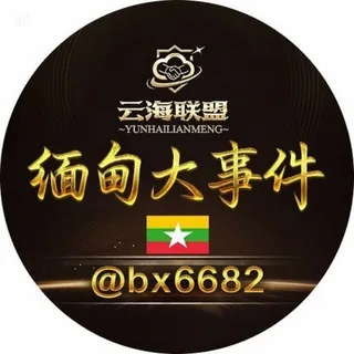 缅甸大事件🇲🇲 头像