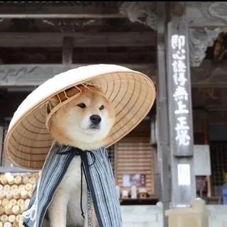 Mkcloud交流群 头像
