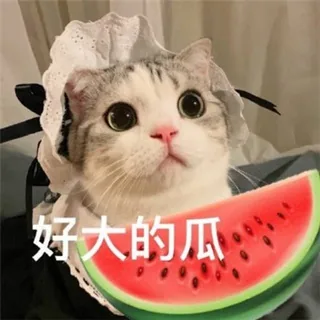 吃瓜搞笑视频 头像