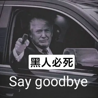 反黑鬼共助会（黑鬼滾出中國！） 头像