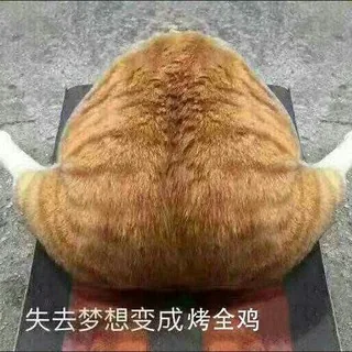 TenVM/ToSpeed 交流群 头像