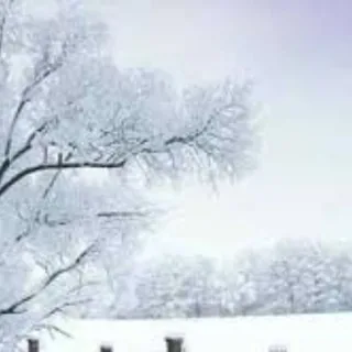 迎风冒雪 头像