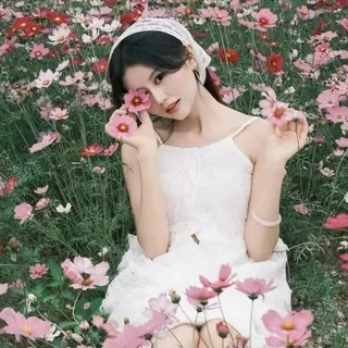迪士尼娱乐全球话术精料素材圈 头像