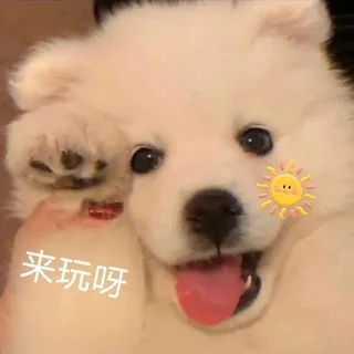 大明线下交流（外群） 头像