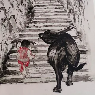 轻舟指标A股股市股票交流群 头像