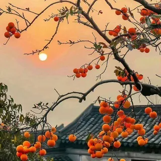 内涵 头像