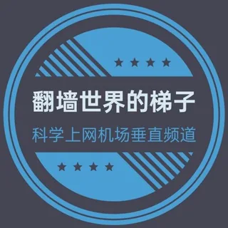 翻墙世界的梯子 头像