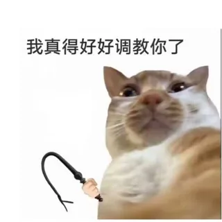 Sad公益科技通知频道 头像