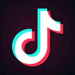 TikTok mod🇨🇳 头像