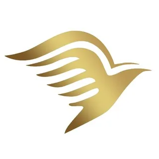 菜鸟VPN 永久免费 中文频道 头像