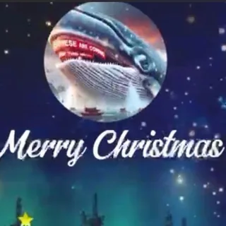 中国鲸鱼 鯨魚 ! CHINESE MERRY Christmas 头像