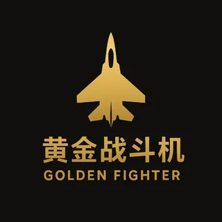 黄金战斗机 🛩️🥇 头像
