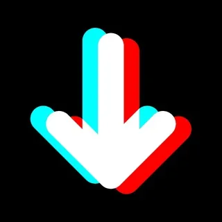 No Watermark TikTok Downloader 头像