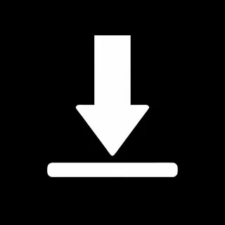 ⚡️Downloader: Instagram | TikTok | FaceBook | X 头像