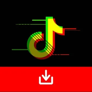 TikTok Downloader 头像