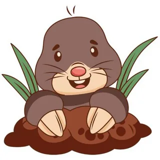 Mole Smash 头像