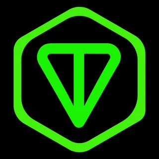 💚 iTONSPACE.TON 🤖 头像