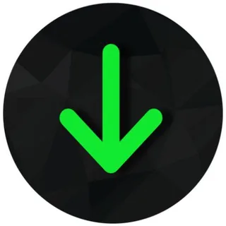 Download Manager 头像