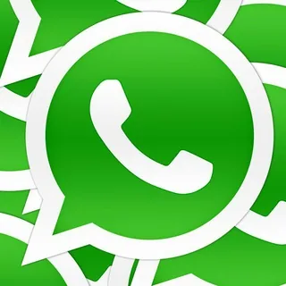 WhatsApp Bot 头像