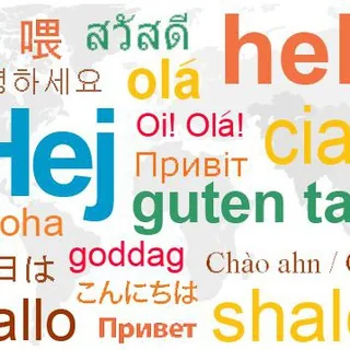 Shiny language learner 头像